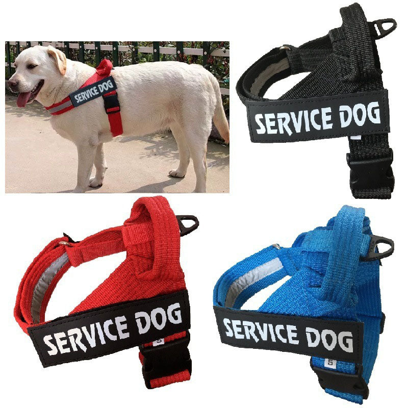 Personalized Dog Harness: Blue, Black, Red (All sizes!)