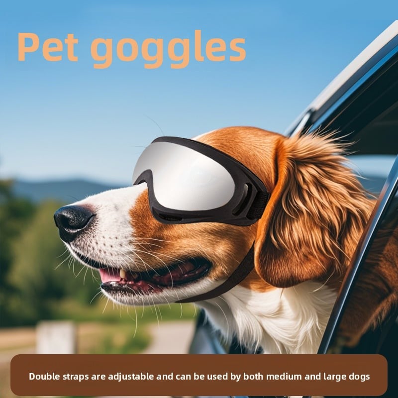 Travel Glasses for Dogs!