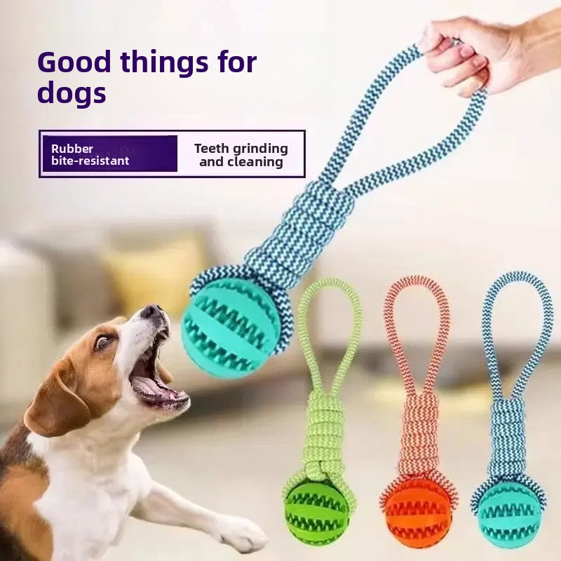 Tug-of-war dog toy!