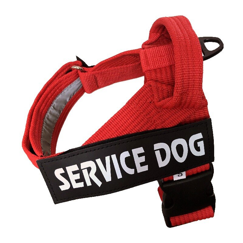 red dog harness