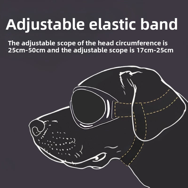 Travel Glasses for Dogs!