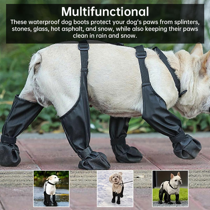 Suspender Dog Boots for all size dogs