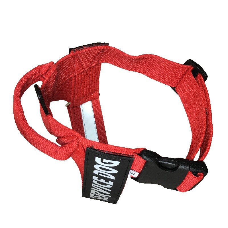 red dog harness