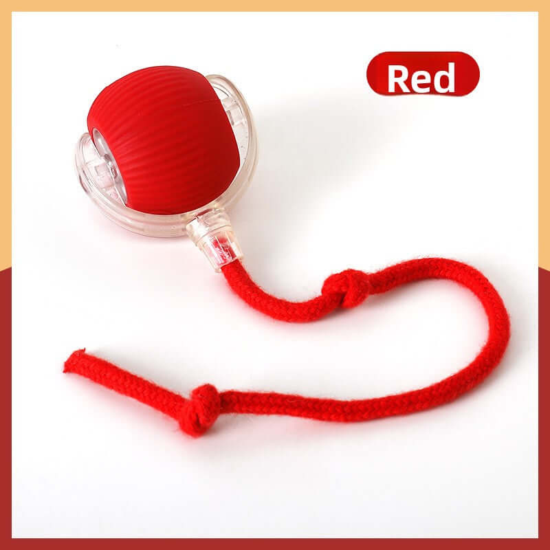 red automatic cat toy