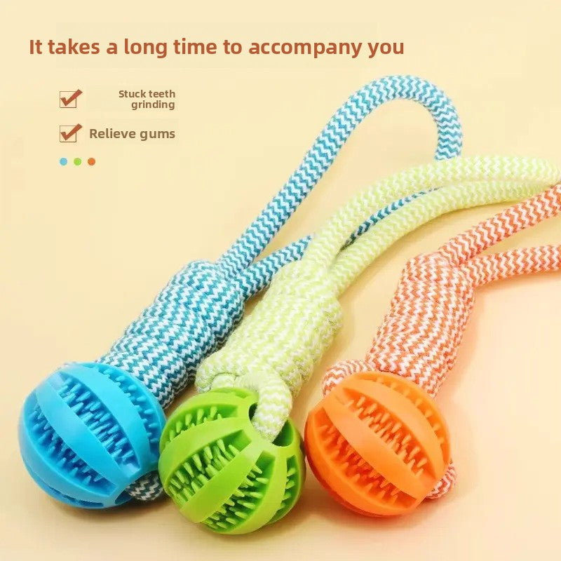 Tug-of-war dog toy!