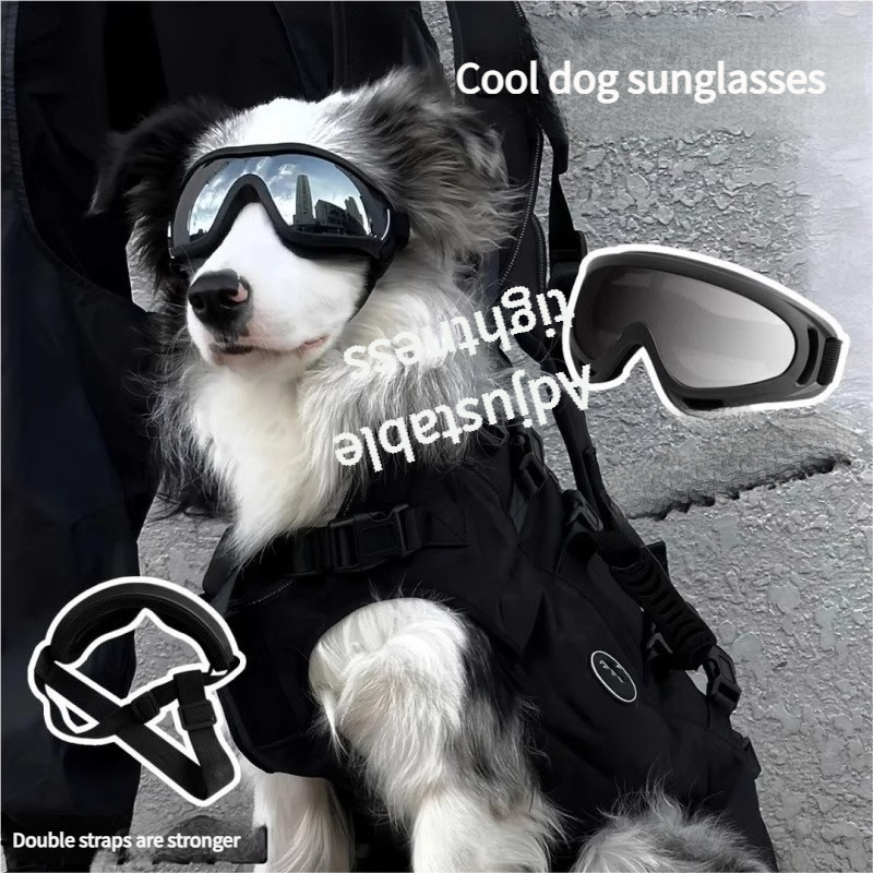 Travel Glasses for Dogs!