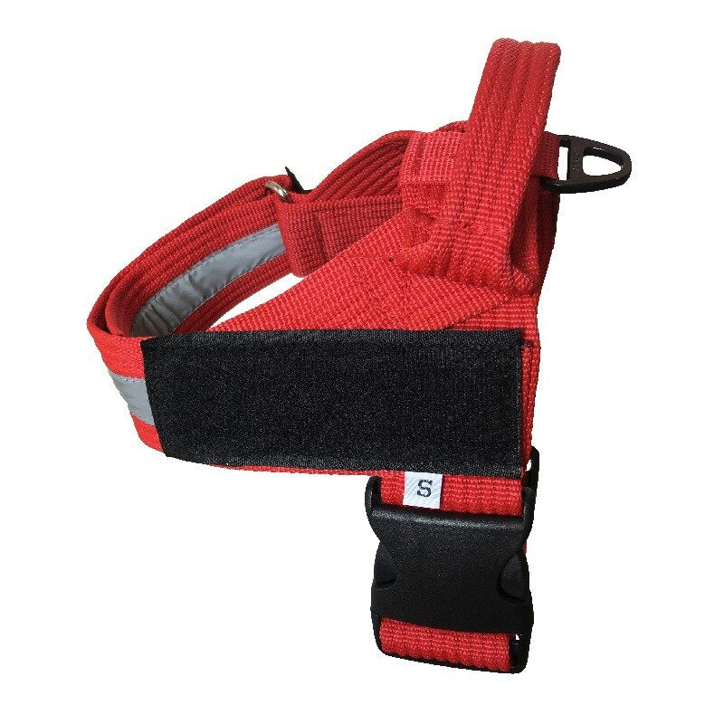 red dog harness