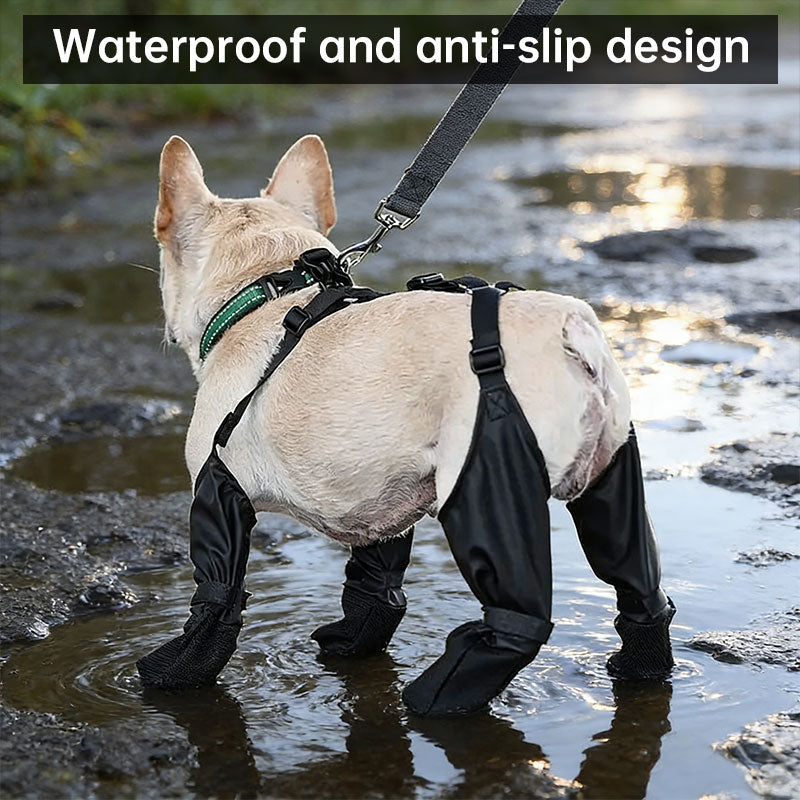 Suspender Dog Boots for all size dogs