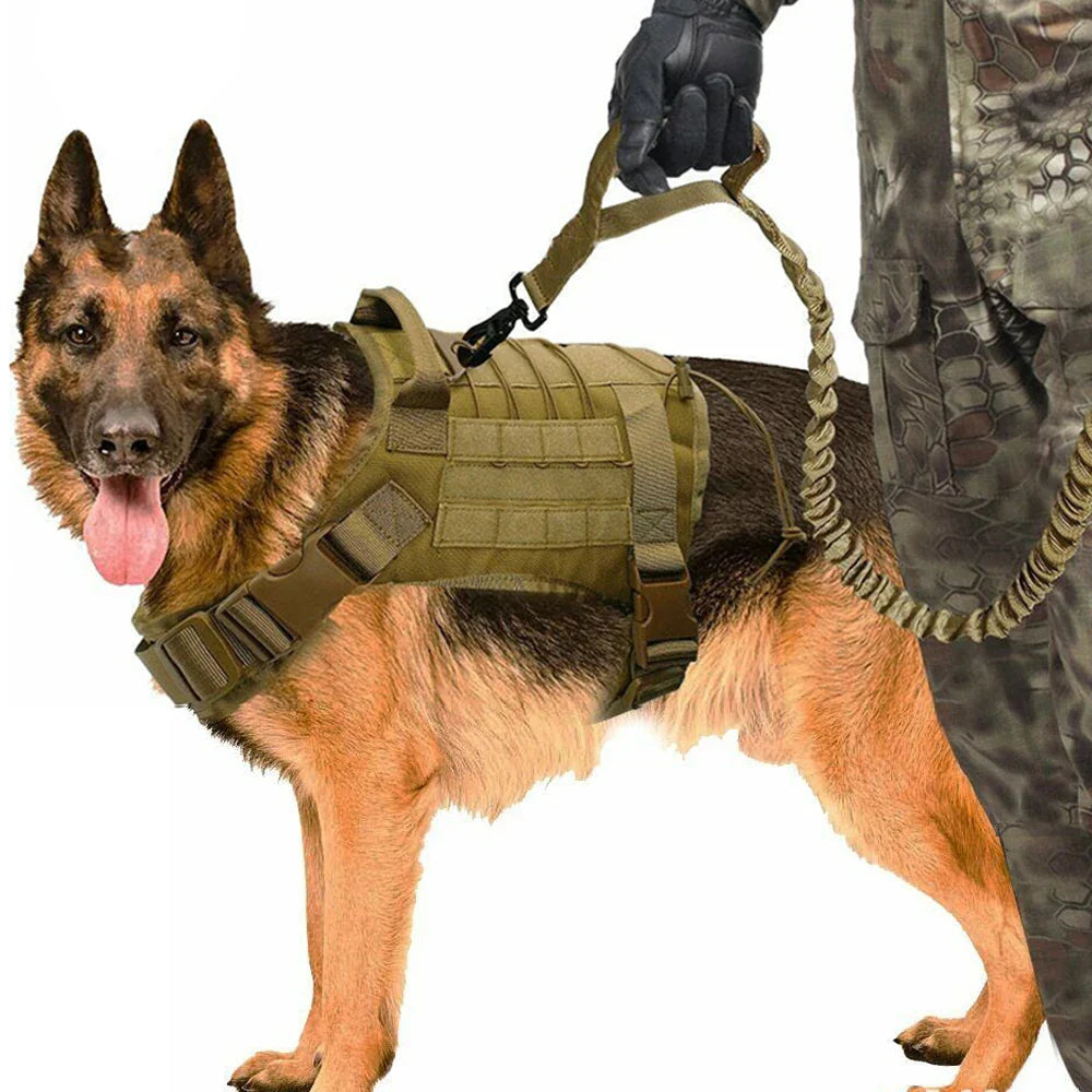 Military Dog Vest!