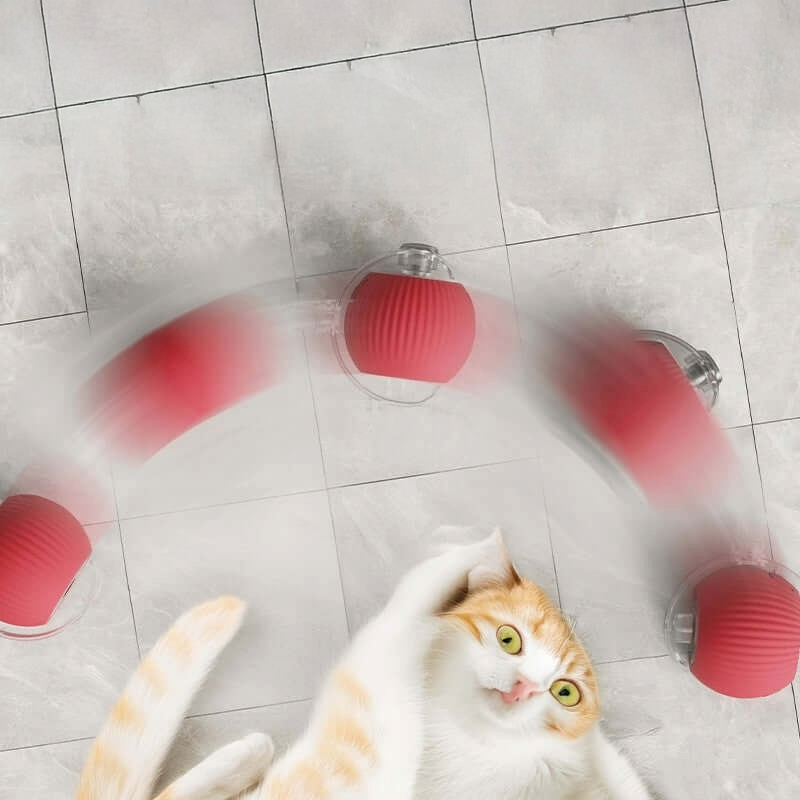 Automatic Cat Toy Ball!