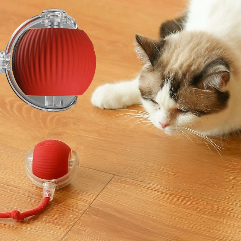 Automatic Cat Toy Ball!