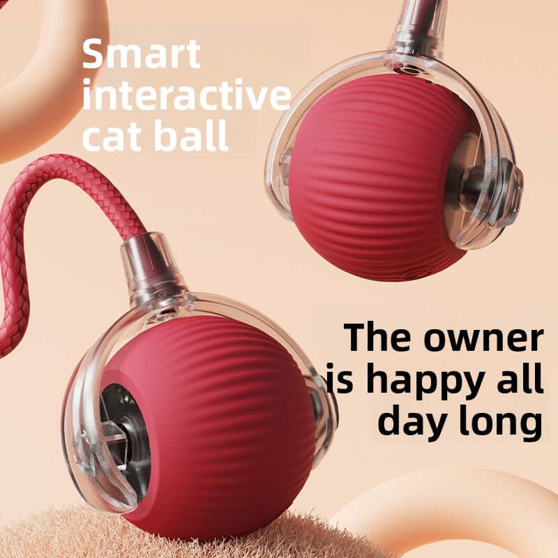 Automatic Cat Toy Ball!
