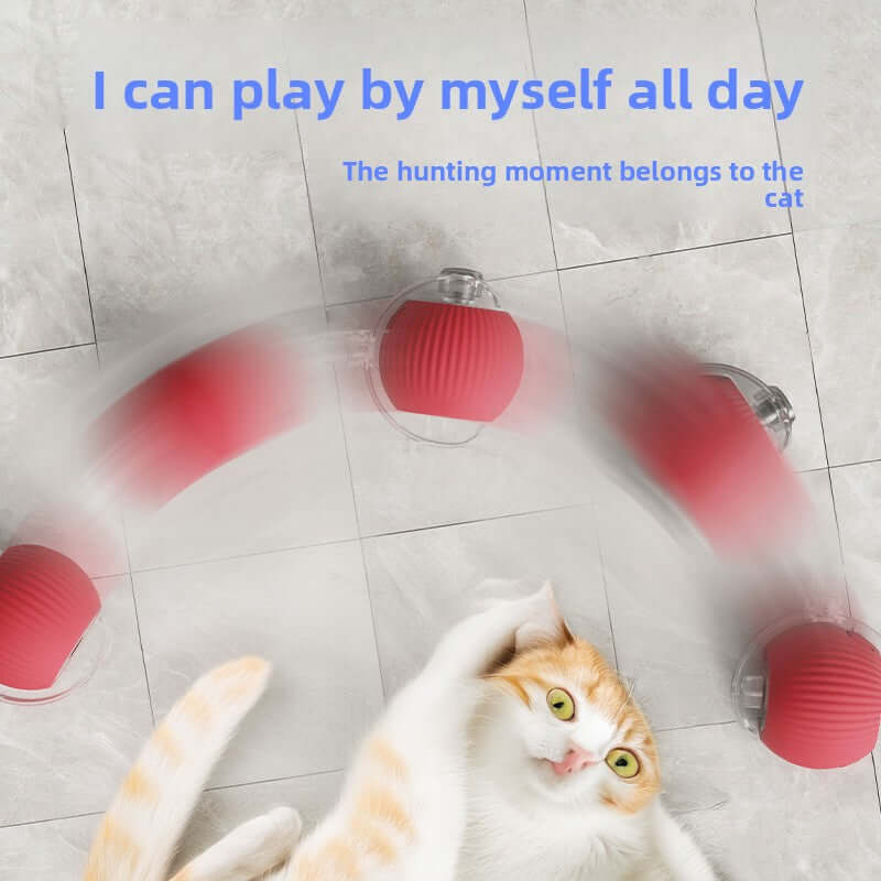 automatic cat toy